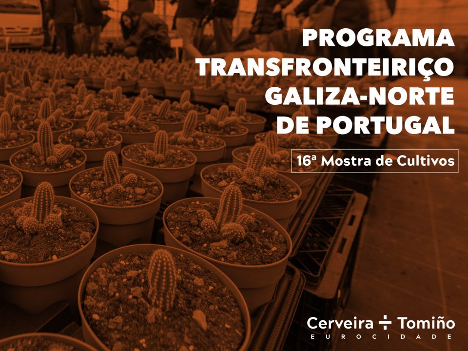 Programa Transfronteiriço Galiza-Norte de Portugal