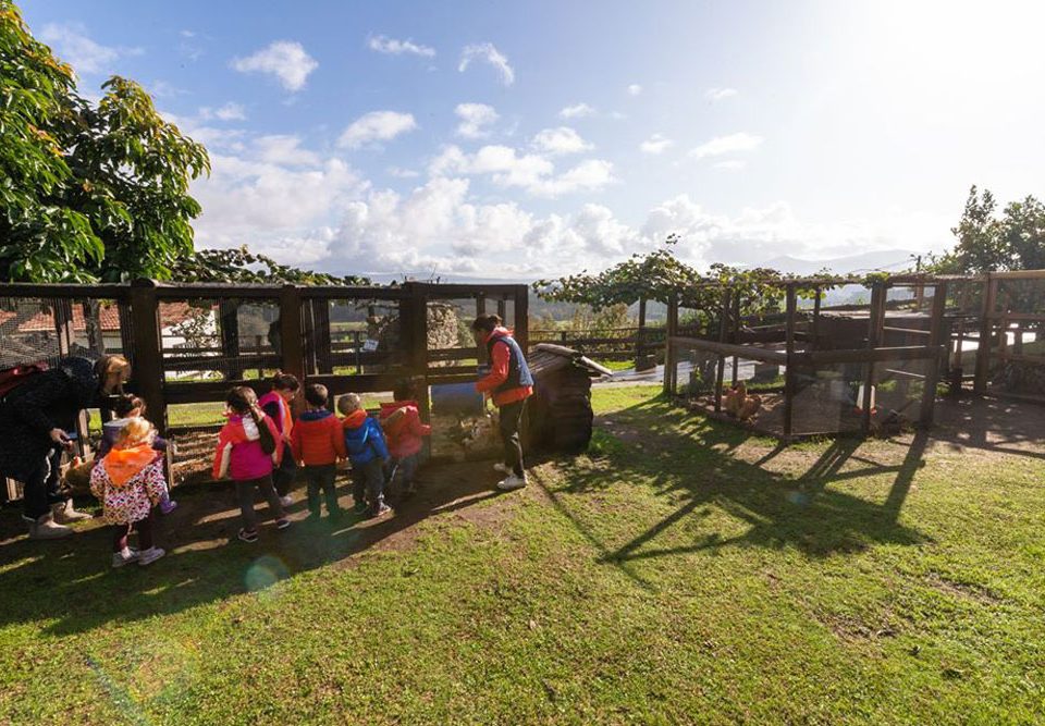 Catrocentos escolares de educación infantil de Tomiño e Cerveira visitan unha granxa-escola