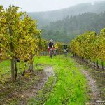 60 afeccionadas e afeccionados ao ciclismo exploraron as potencialidades de Cerveira e Tomiño