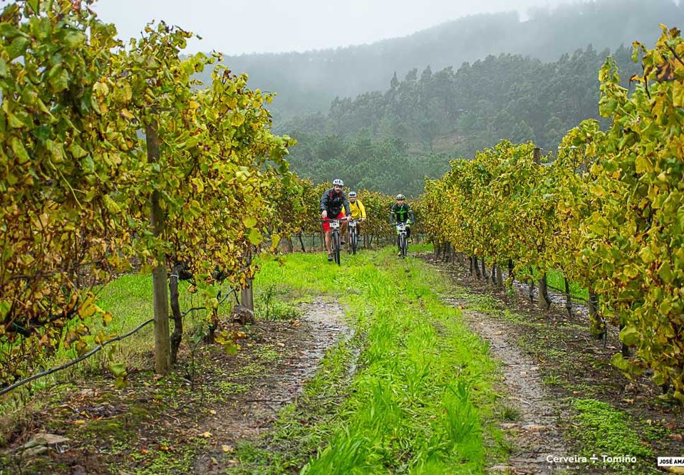 60 afeccionadas e afeccionados ao ciclismo exploraron as potencialidades de Cerveira e Tomiño