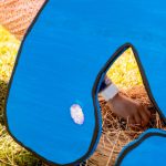 Jovens da Eurocidade desafiados para Peddy-Paper "Caça aos Ovos – À Descoberta na Natureza"
